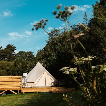 Willow Valley Glamping Bude Zewnętrze zdjęcie
