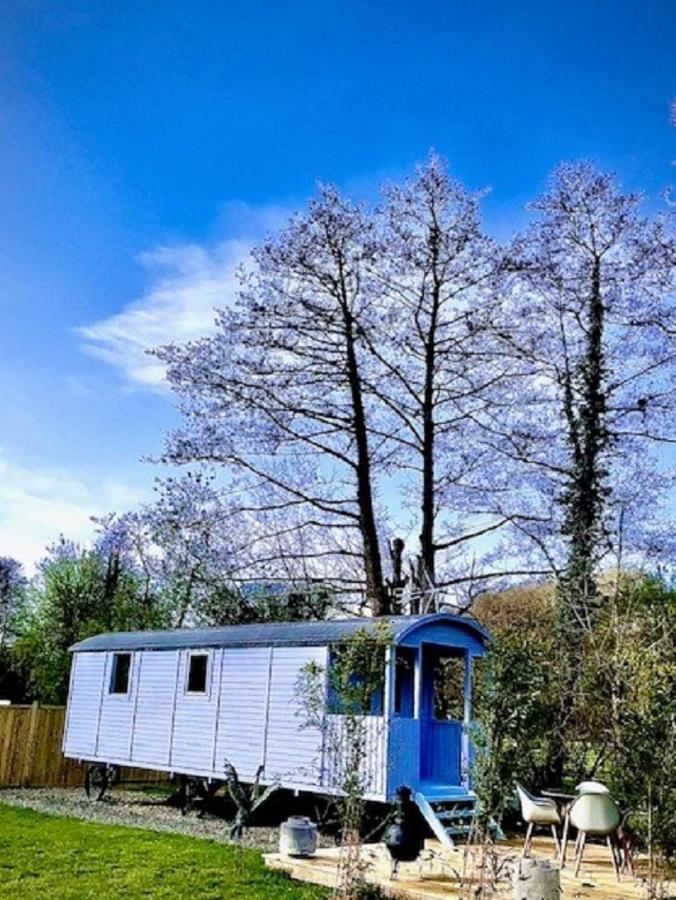 Willow Valley Glamping Bude Zewnętrze zdjęcie