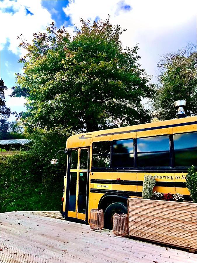 Willow Valley Glamping Bude Zewnętrze zdjęcie